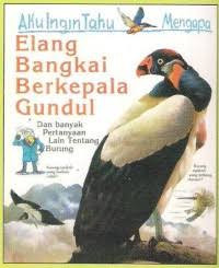 Image of Aku Ingin Tahu Mengapa Elang Bangkai Berkepala Gundul Dan Banyak Pertanyaan Lain Tentang Burung